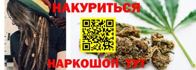 гашик Боровичи