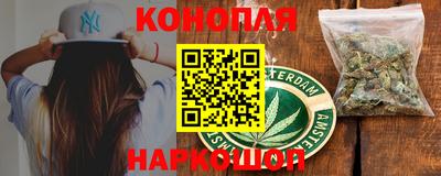 гашик Боровичи