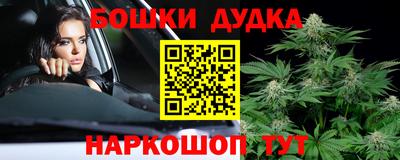 гашик Боровичи
