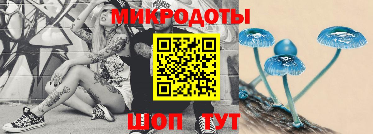 Псилоцибиновые грибы мухоморы Великий Новгород