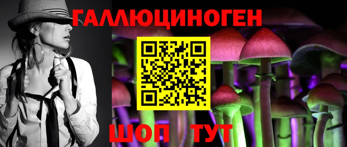 Великий Новгород  Псилоцибиновые грибы Psilocybine cubensis  Вход с VPN  Галлюциногенные грибы Psilocybe 